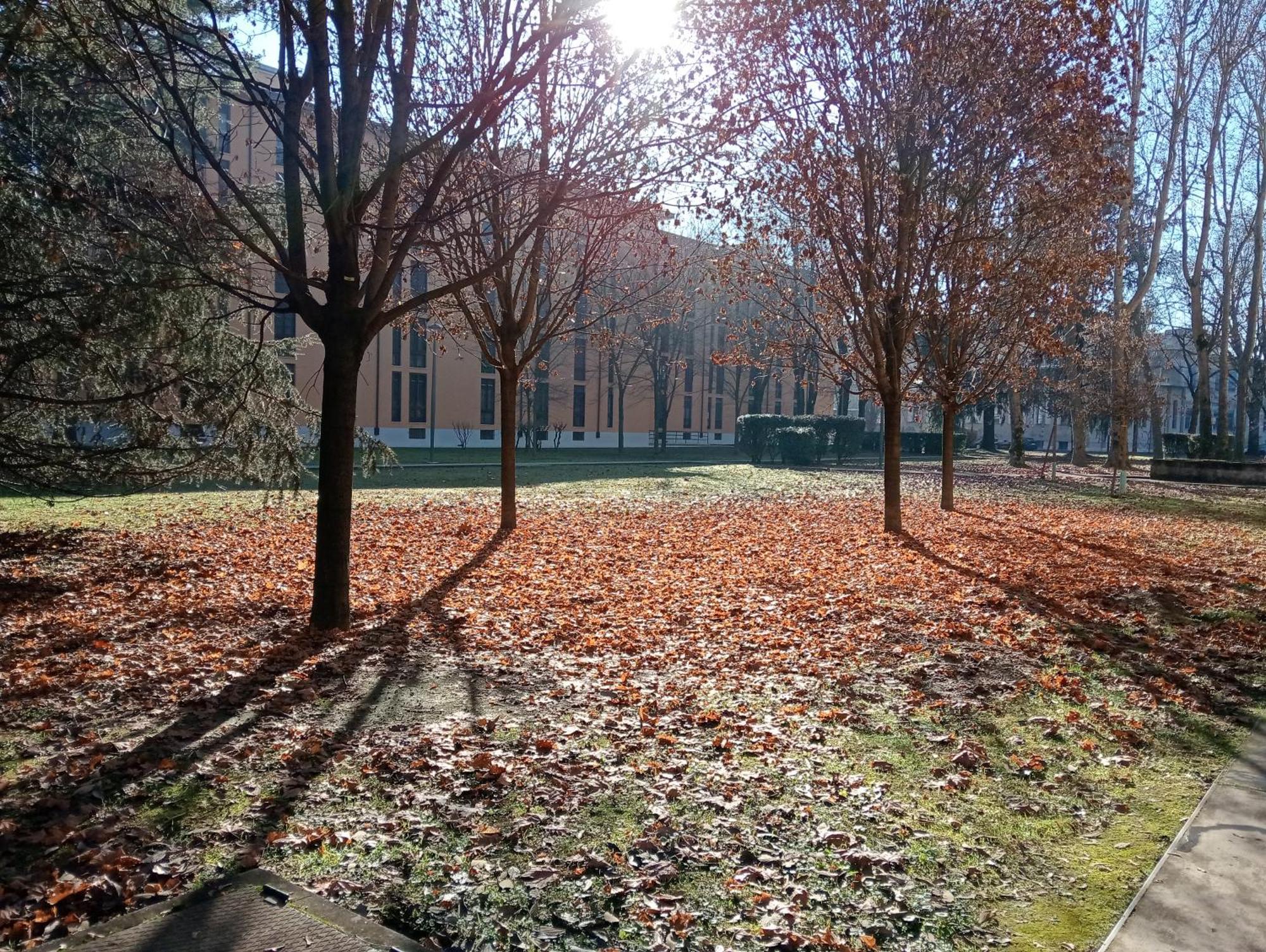 Sandonhouse Milano San Donato Milanese Kültér fotó